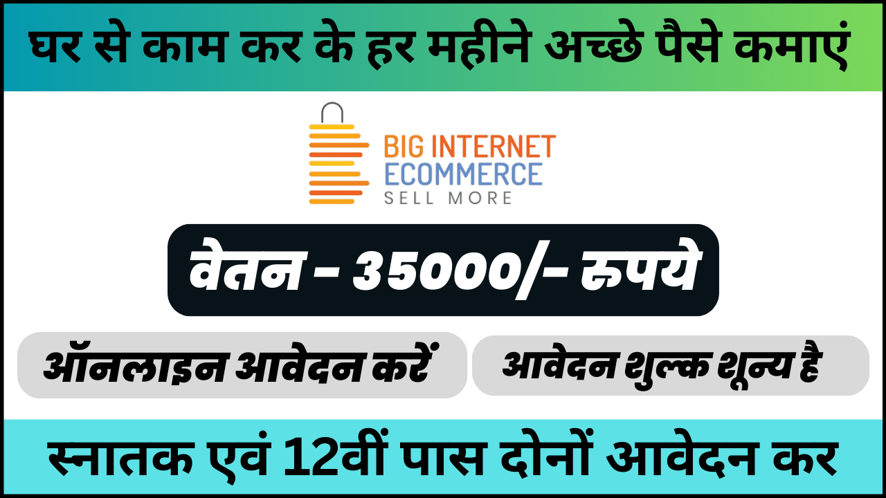 Big Internet E-commerce Private Limited Recruitment 2024: प्रदर्शन प्रबंधन प्रणाली की भूमिका