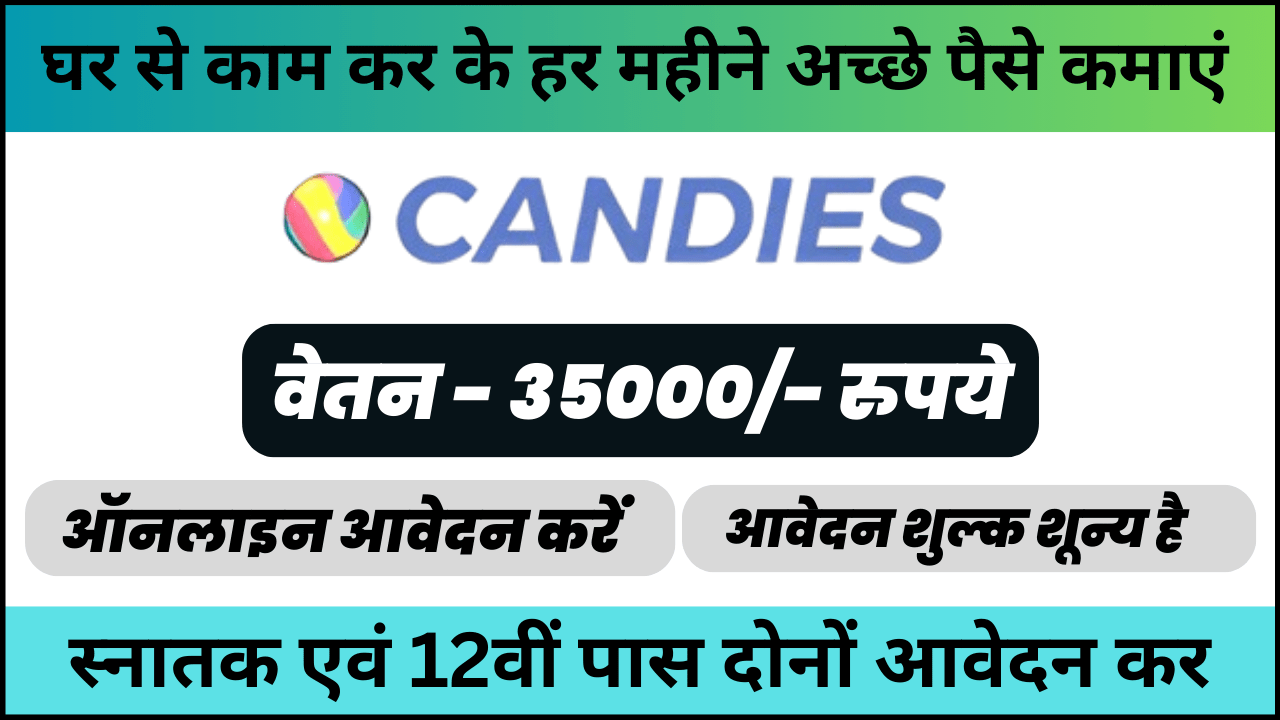 Candies Studio Recruitment 2024: एसईओ प्रबंधक की भूमिका